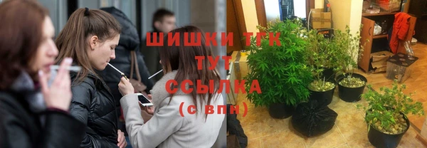 стаф Бугульма
