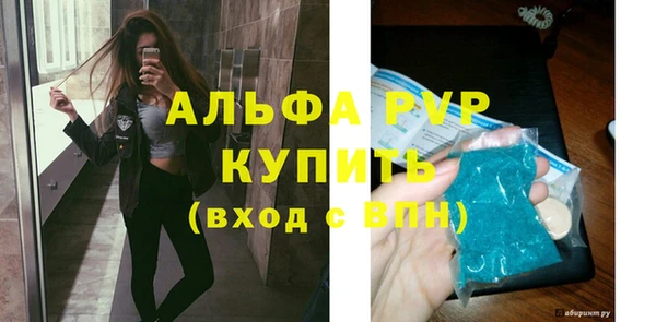 амф Верея