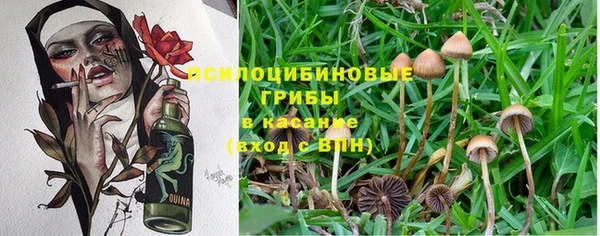 амф Верея