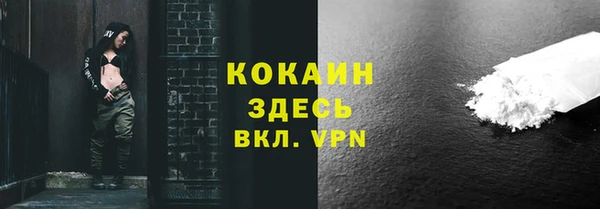 твердый Богданович