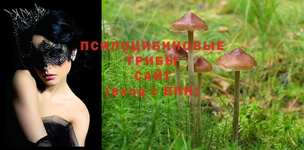 спайс Грязовец