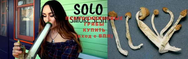 твердый Богданович