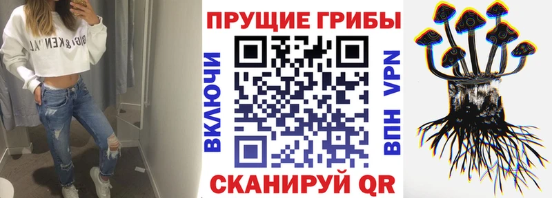 Галлюциногенные грибы прущие грибы  Зима 