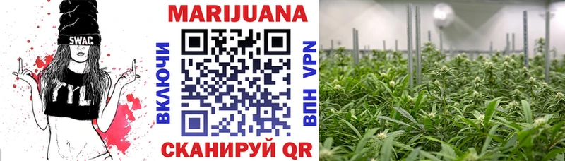 гидра зеркало  как найти закладки  Зима  МАРИХУАНА OG Kush 